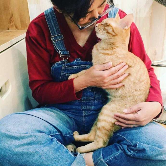 「猫カフェ紅葉」で暮らす保護猫の未来くんと後舎直美さん