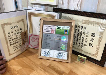 「猫カフェ紅葉」の店長・後舎さんが保有するさまざまな認定証