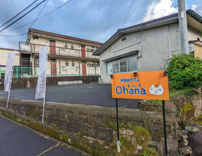 ねこオアシスオハナ外観と看板の写真