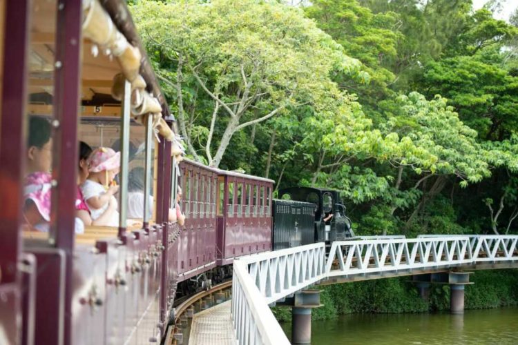 ネオパークオキナワ園内の解説付き鉄道