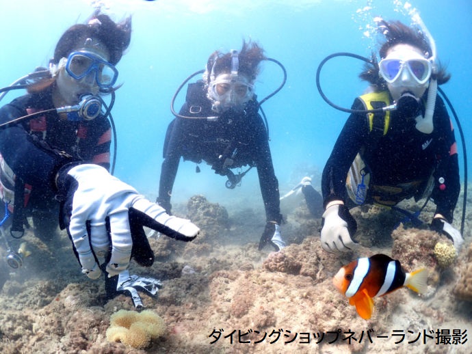体験ダイビングをグループで楽しむ様子