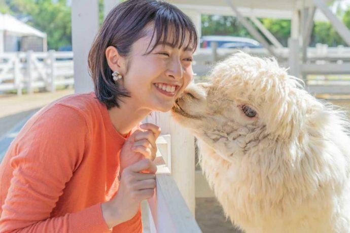 『のじまスコーラ』の屋外にある「のじま動物園」にてアルパカと触れ合う女性