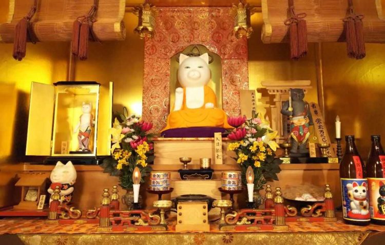 京都府左京市にある猫猫寺の大日猫来