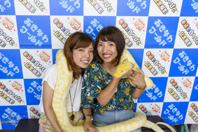 沖縄県南城市にある「おきなわワールド」で白ヘビと記念札ウエイをする女性たち