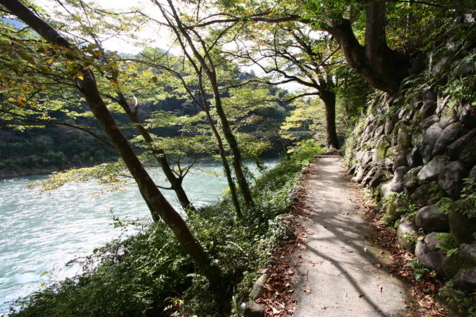 青梅市内にある「御岳渓谷遊歩道」の様子