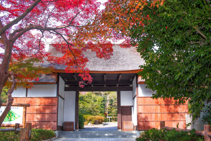 大倉公園の茅葺門