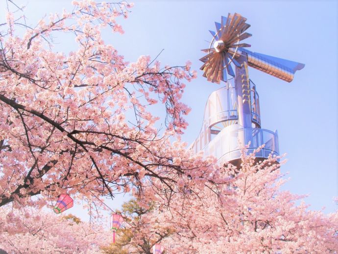 桃山公園の風景
