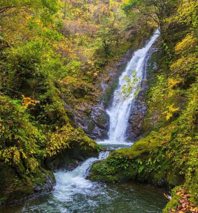 野鹿の滝の風景