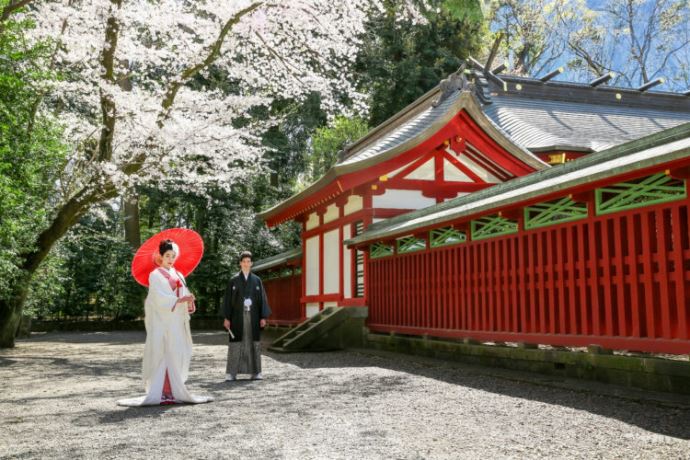 大國魂神社に訪れた場合の見どころやオススメなどはありますか?