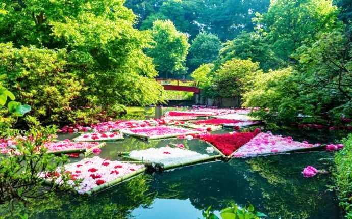 つくば牡丹園(Peony Garden Tokyo)内の池に浮かぶ花いかだ