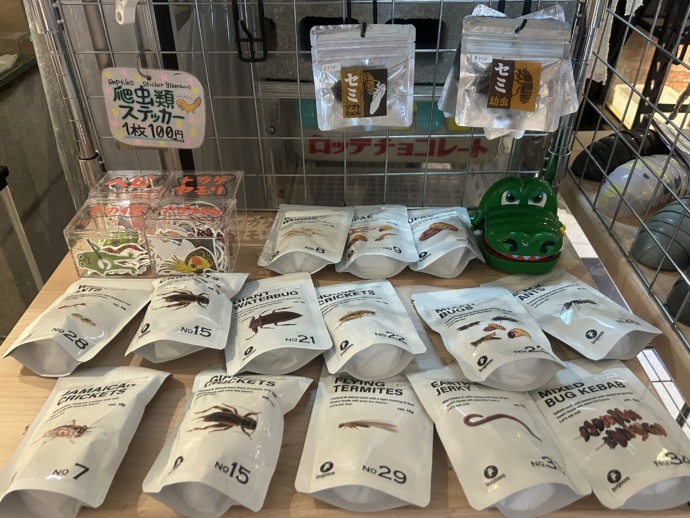 「爬虫類カフェ ROCK STAR」のグッズコーナー