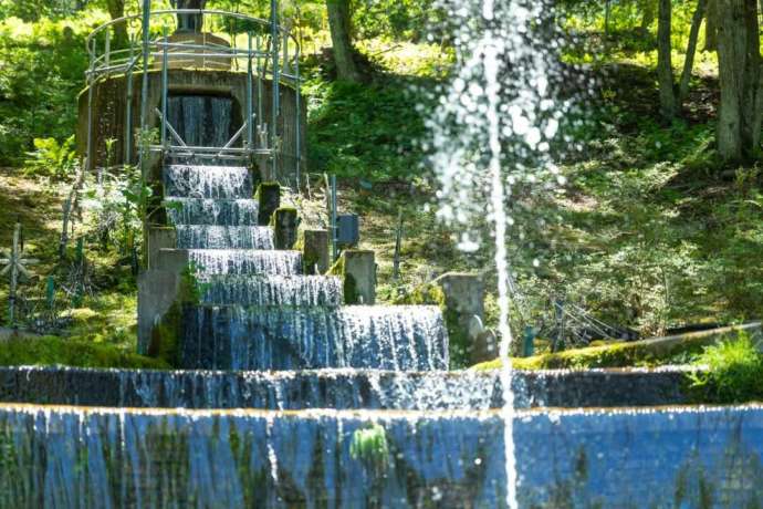 蓼科高原芸術の森彫刻公園の中を流れる川の様子