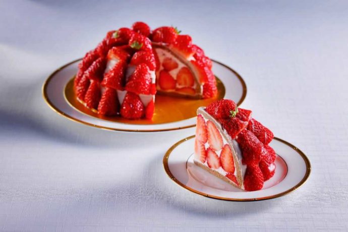 『海の舎』のイチゴのズコットケーキ5号