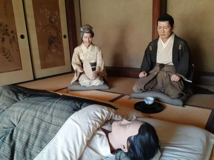 春林軒内部の人体知見の様子の写真
