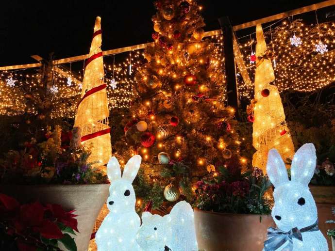 四季の香ローズガーデン内にある香りのローズガーデンのクリスマスイルミネーション