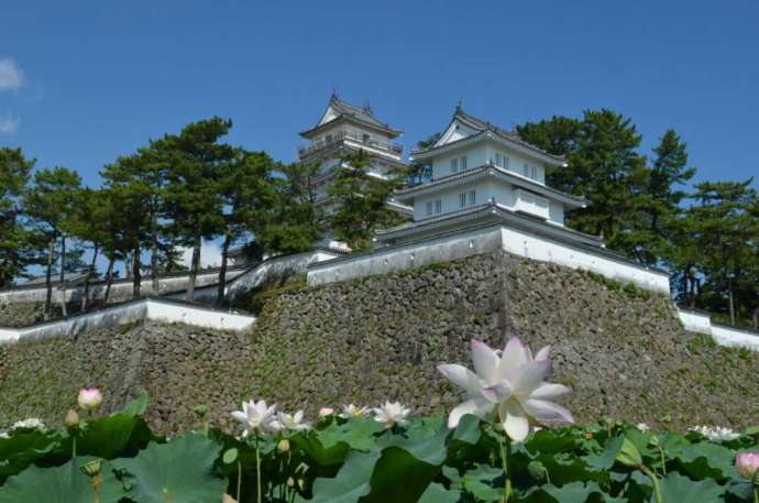 長崎県島原市にある島原城