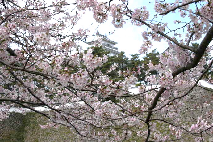 島原市のおすすめ映えスポット「島原城」