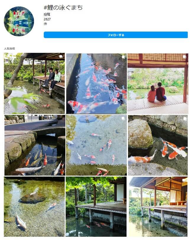 鯉の泳ぐまちのインスタ画面