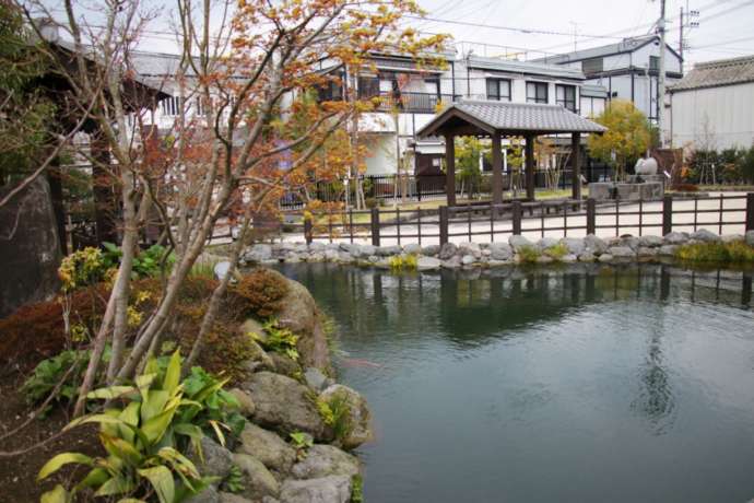 観光交流センター清流亭の池