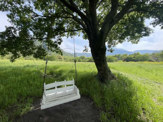 島原市の映えスポット「しまばら火張山花公園」