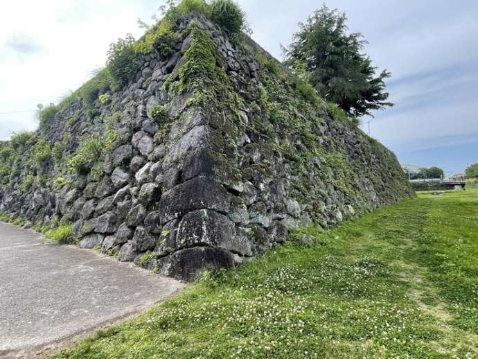 島原城のお堀端