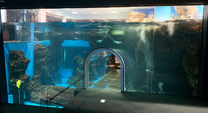 ペンギン村亜南極水槽