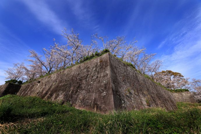 新宮城の堅牢な城壁
