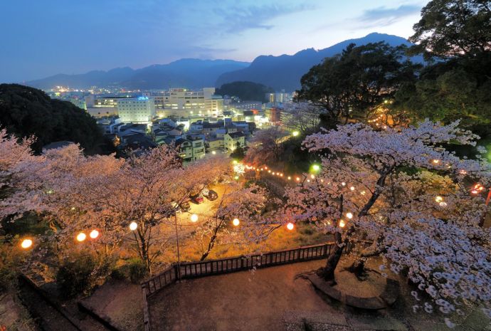 桜の季節の新宮城跡