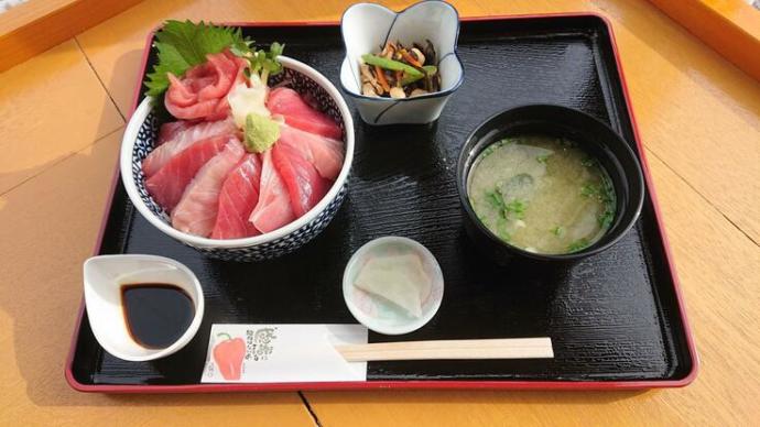 若松瀬戸で育った本マグロを使用したマグロ丼