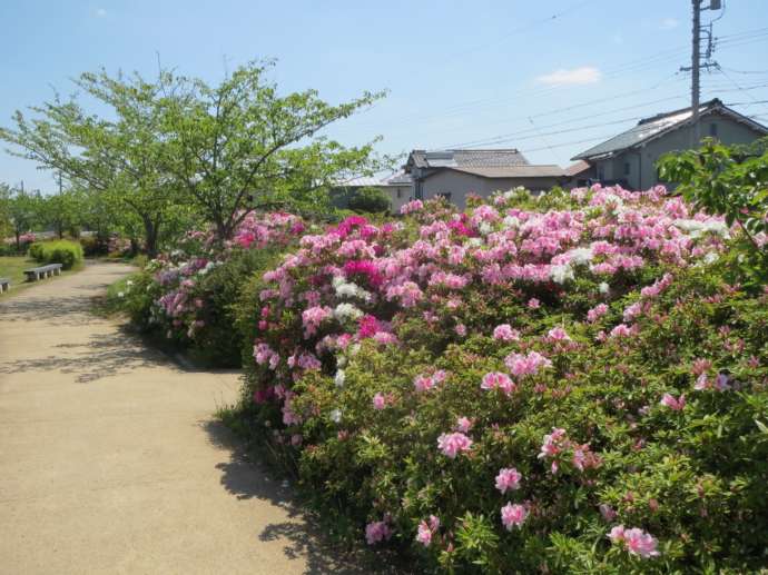 あま市七宝焼アートヴィレッジの遊歩道