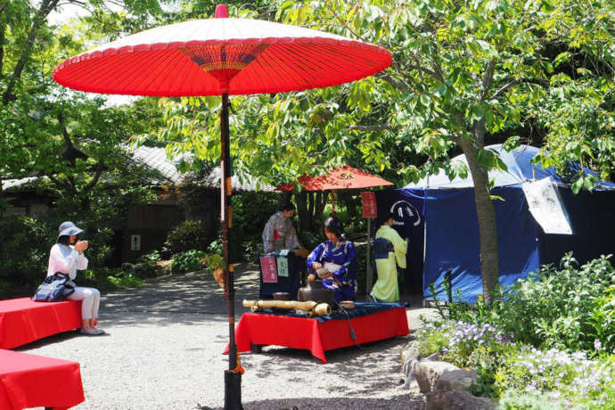 福岡県北九州市の「北九州市立白野江植物公園」で開催されたお茶席の様子