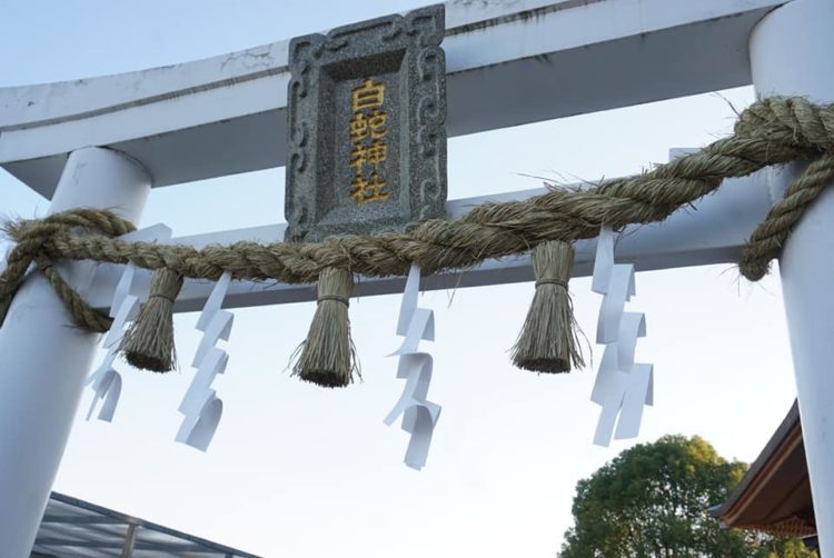 山口県岩国市の岩国白蛇神社の神前結婚式