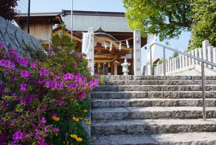神前結婚式で印象に残るエピソードなどあれば教えてください