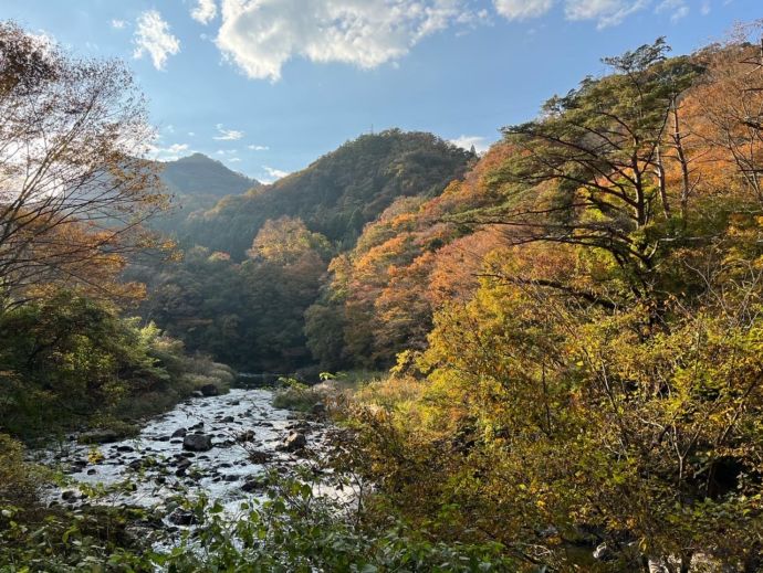 白石市にある小原渓谷の紅葉の様子