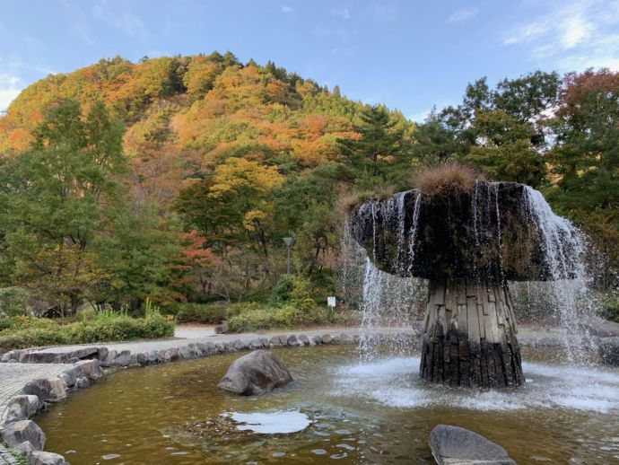白石市にある材木岩公園の様子