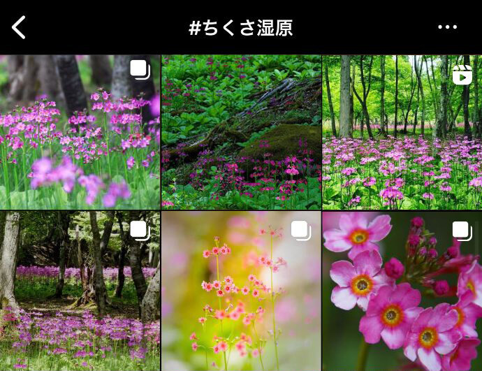 インスタグラムに投稿されたちくさ湿原の写真