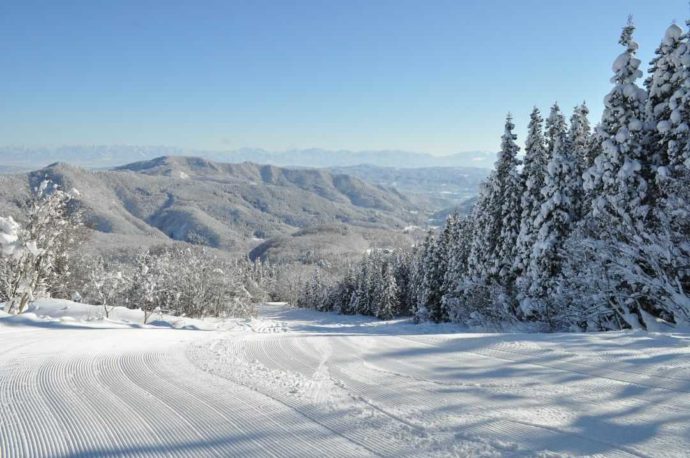 Asahi自然観スノーパークのゲレンデ