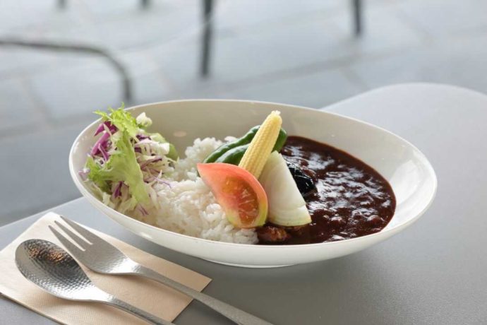 庄川おんせん野菜トマトカレー