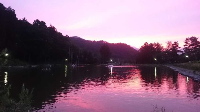 ベリーパークinフィッシュオン!鹿留にある鹿留湖