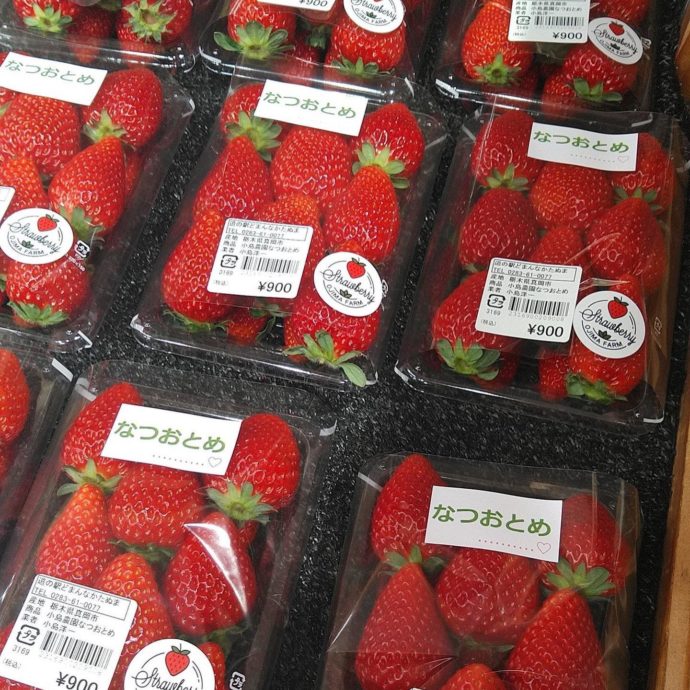 農産物直売所の陳列