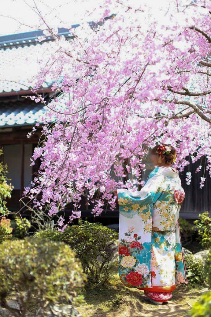 當麻寺のお庭