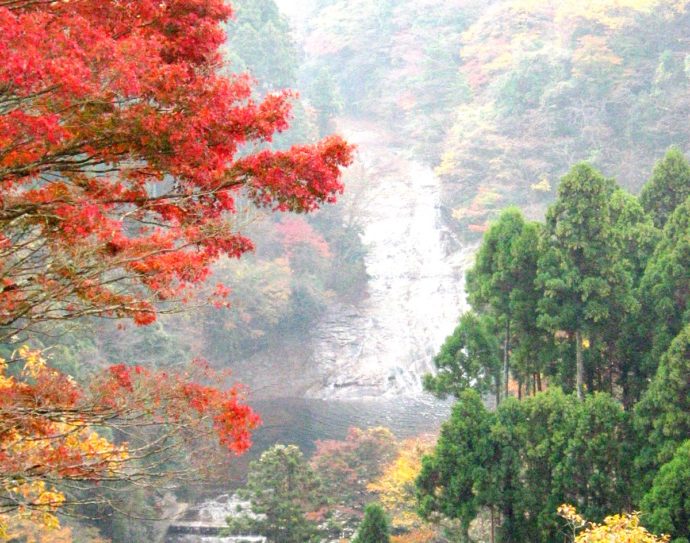 道の駅たけゆらの里おおたきの近くにある粟又の滝