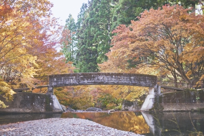 たくみの里内にある泰寧寺(たいねいじ)の紅葉