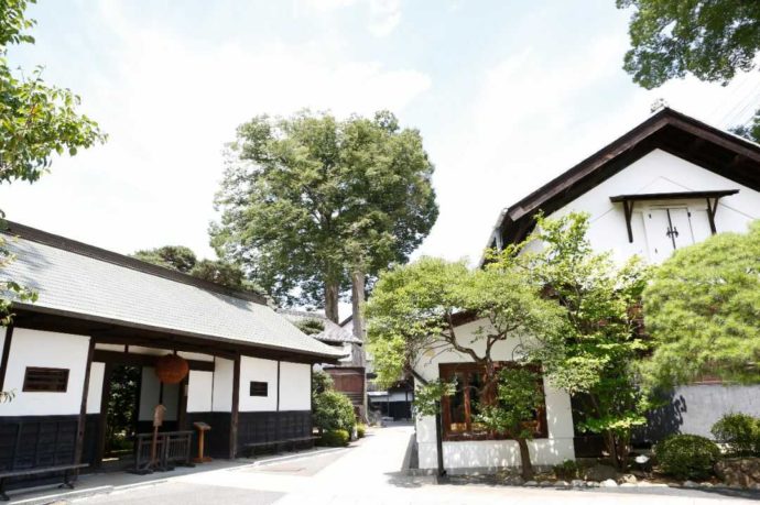福生のビール小屋がある石川酒造の敷地内