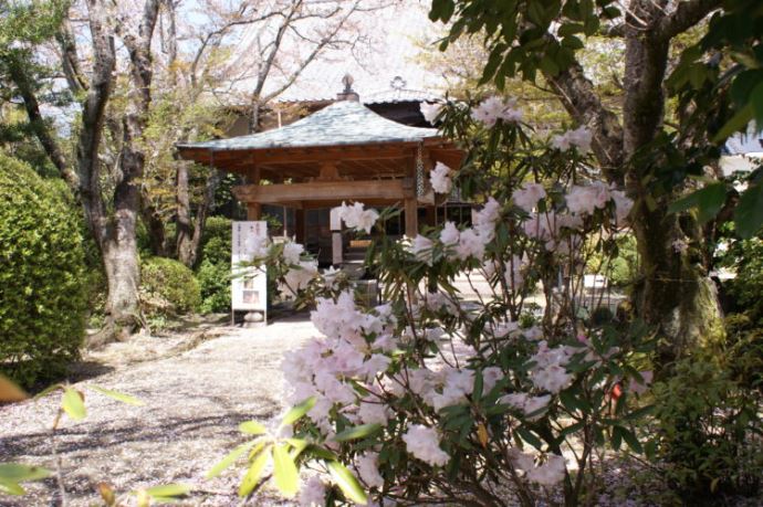 日晴れ詣りではどのような事をするのでしょうか?