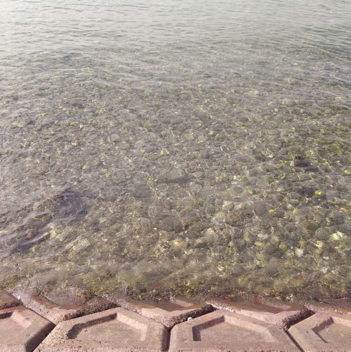 浜名湖の湖底が透けて見えている様子