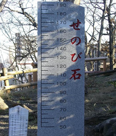 手稲神社のせのび石