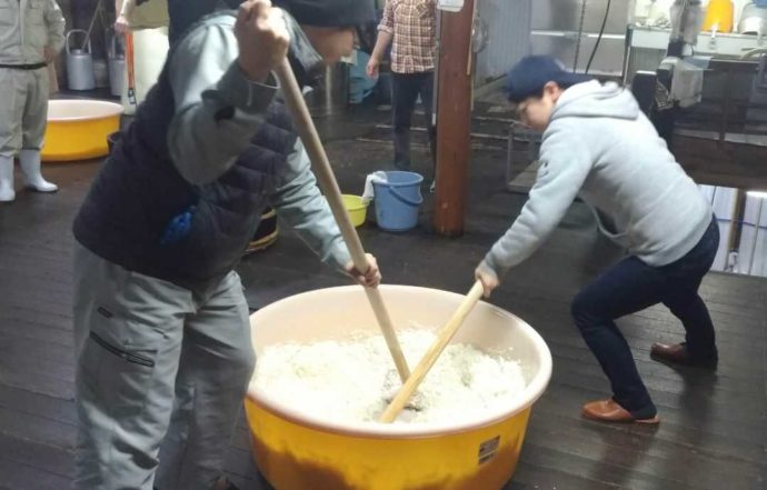 酛摺り(もとすり)をする板倉酒造の職人たち