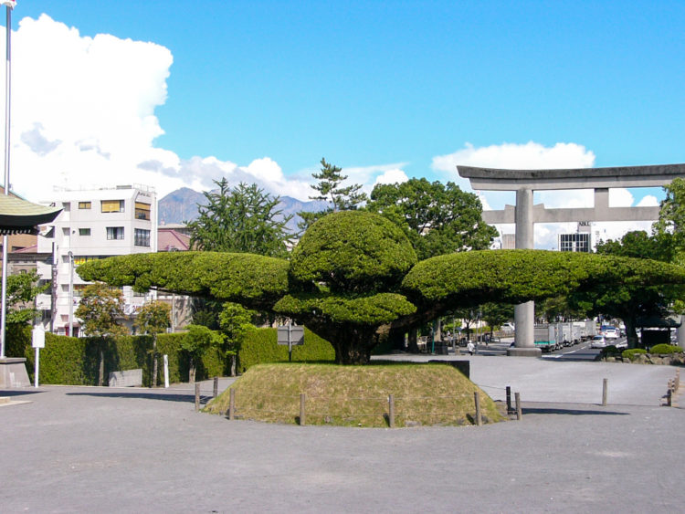 縁結びを願って参拝される方はどのくらいいらっしゃいますか