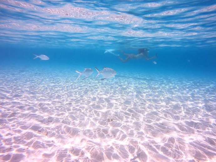 透明度抜群の来間島でシュノーケリングを楽しむ様子